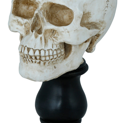 Portavelas Halloween Calavera 25cm
