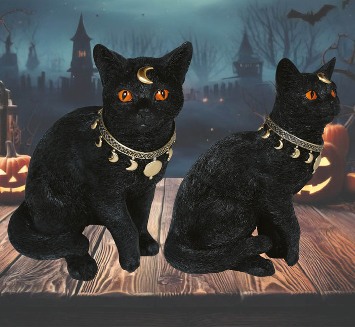 Gato Falso Negro 28cm