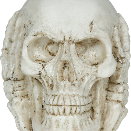 Calavera de Halloween 6cm