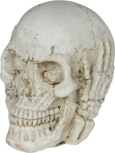 Calavera de Halloween 6cm