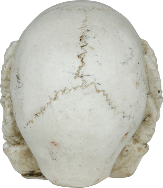 Calavera de Halloween 6cm