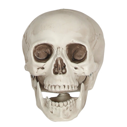 Calavera blanca 20cm