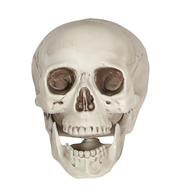 Calavera blanca 20cm
