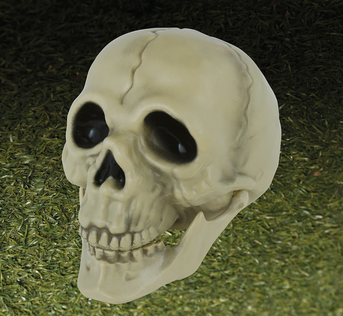 Calavera de Halloween 13cm