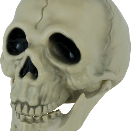 Calavera de Halloween 13cm