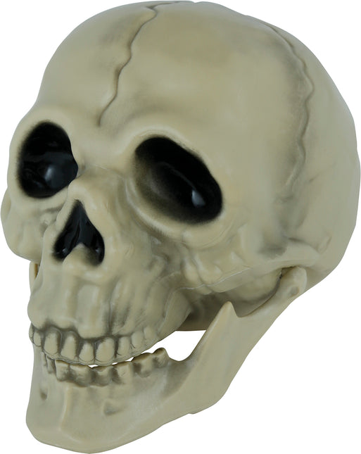 Calavera de Halloween 13cm
