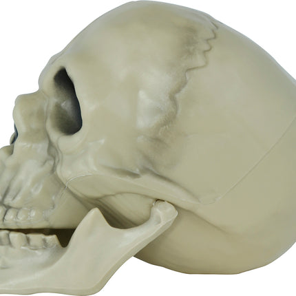 Calavera de Halloween 13cm