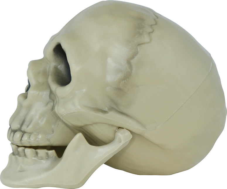 Calavera de Halloween 13cm