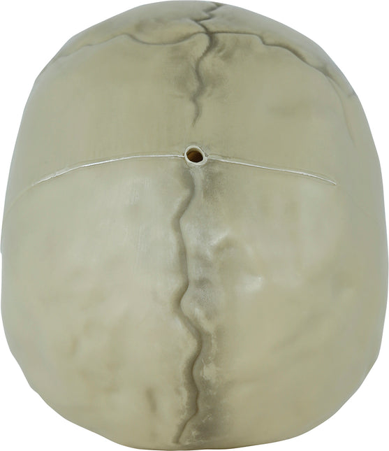 Calavera de Halloween 13cm
