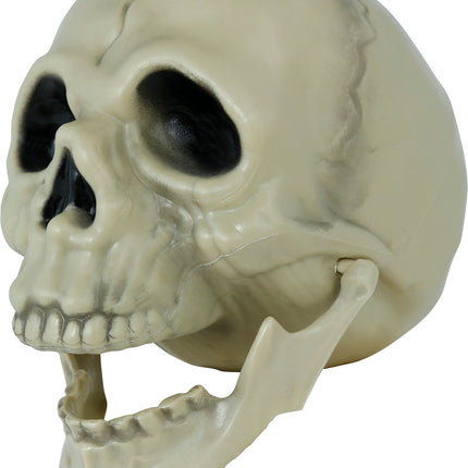 Calavera de Halloween 13cm