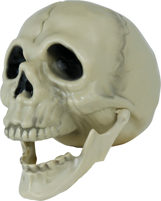 Calavera de Halloween 13cm