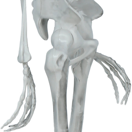 Esqueleto de Halloween articulado de 1,4 m