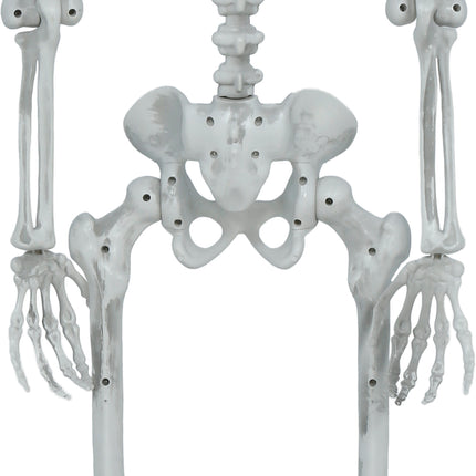 Esqueleto de Halloween articulado de 1,4 m