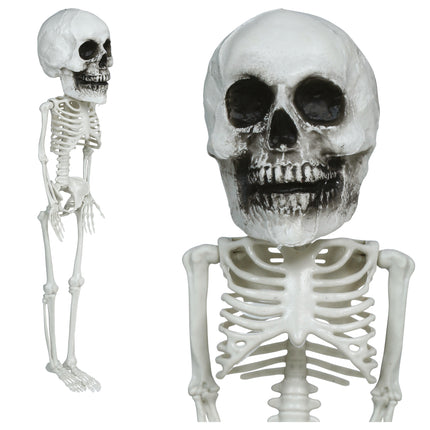 Halloween Skelet Hangend Groot Hoofd 40cm