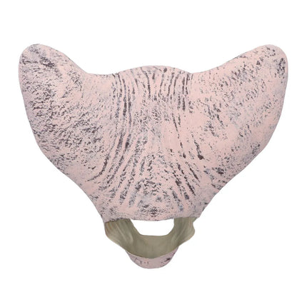 Máscara de látex «Horror cat»