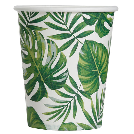 Tazas de hoja de palma 240 ml 6 uds.