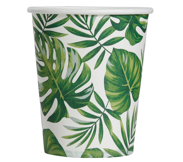 Tazas de hoja de palma 240 ml 6 uds.