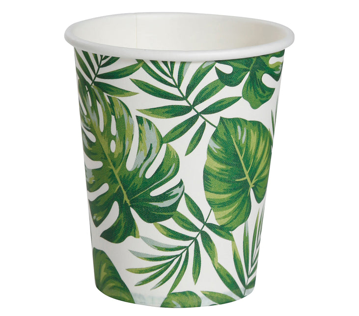 Tazas de hoja de palma 240 ml 6 uds.