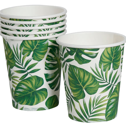 Tazas de hoja de palma 240 ml 6 uds.