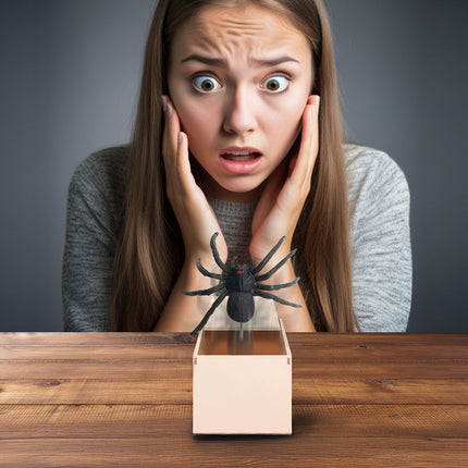 Araña falsa de Halloween en caja