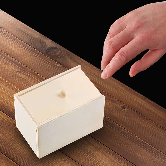 Araña falsa de Halloween en caja