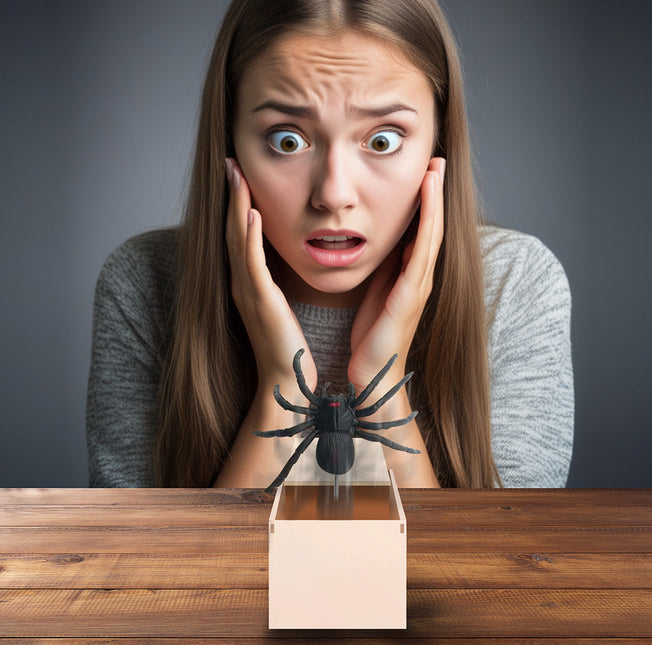 Araña falsa de Halloween en caja