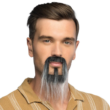 Barba Fantasy gris