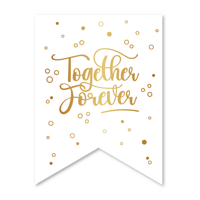 Banner de boda Juntos para siempre 6m