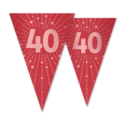 Vlaggenlijn 40 PET Dubbel 20x30cm 10 meter lengte