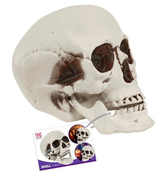 Calavera de Halloween con mandíbula móvil