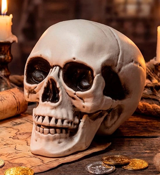 Calavera de Halloween con mandíbula móvil