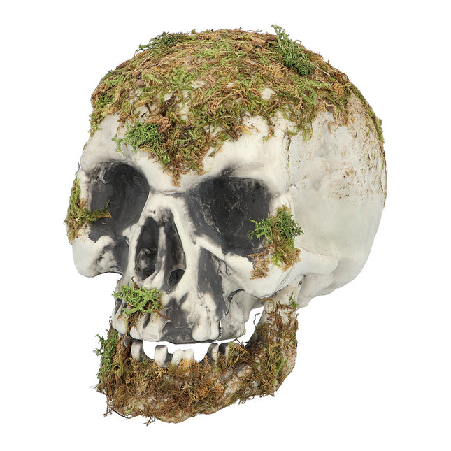 Calavera de Halloween Musgo 19cm