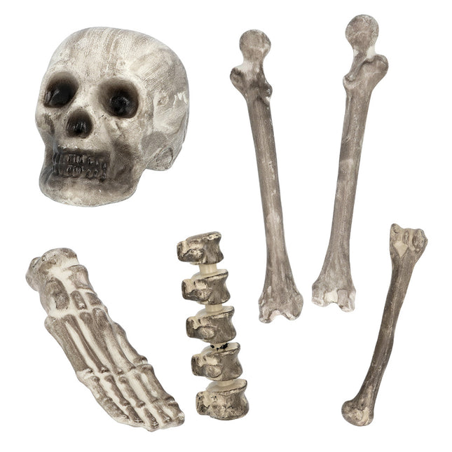 Halloween Esqueleto 6pcs