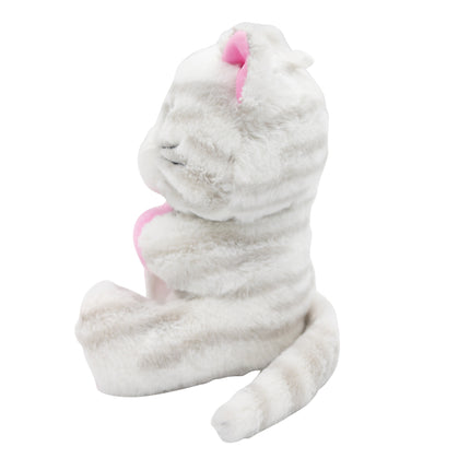 Gato Globo Peso Abrazo 170gr