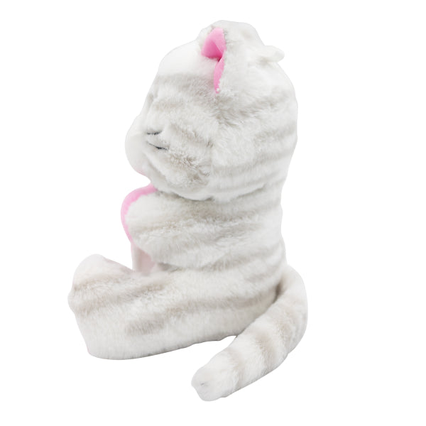 Gato Globo Peso Abrazo 170gr