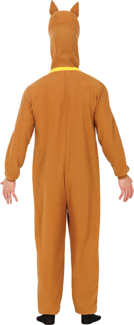 Disfraces Scooby Doo Hombre