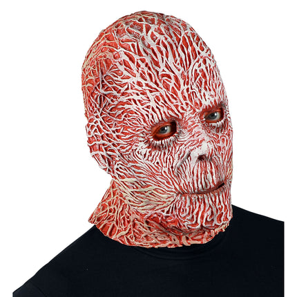 Máscara de Halloween Acosador Nocturno