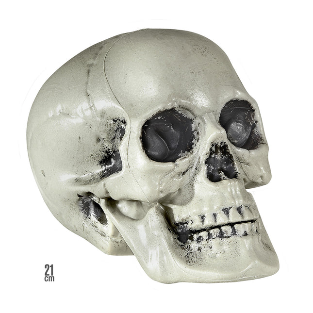 Calavera de Halloween 21cm