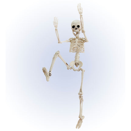 Halloween Esqueleto Blanco 50cm
