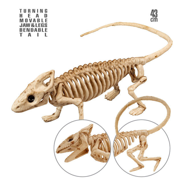 Iguana Esqueleto Halloween 43cm