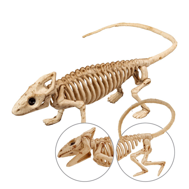 Iguana Esqueleto Halloween 43cm