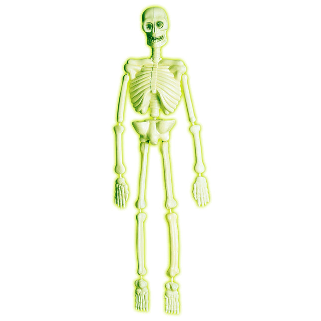 Laboratorio Esqueleto Halloween 90cm