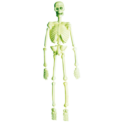 Laboratorio Esqueleto Halloween 90cm