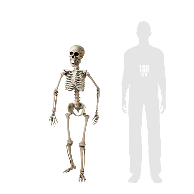 Halloween Esqueleto Blanco 1,6m