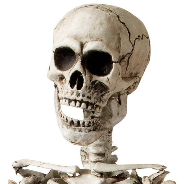 Halloween Esqueleto Blanco 1,6m