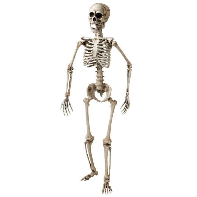 Halloween Esqueleto Blanco 1,6m