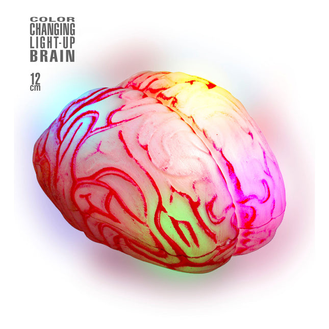 Cerebro Falso Halloween 12cm