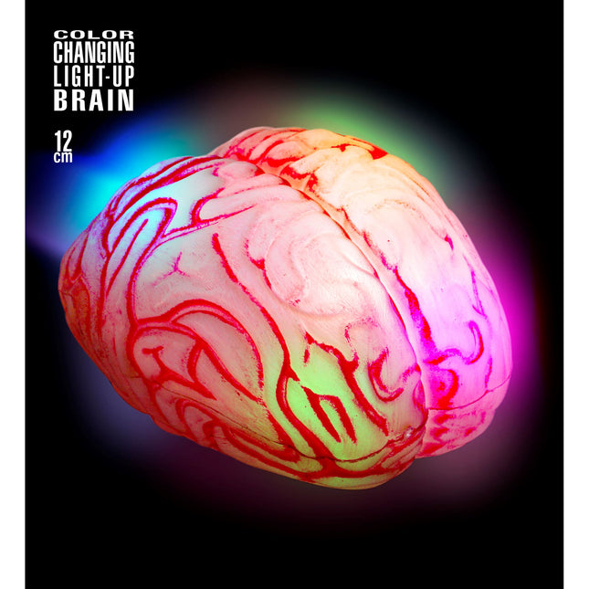 Cerebro Falso Halloween 12cm
