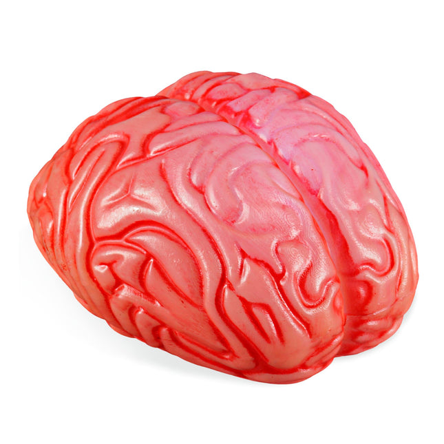 Cerebro Falso Halloween 12cm