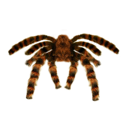 Araña falsa de Halloween 65cm